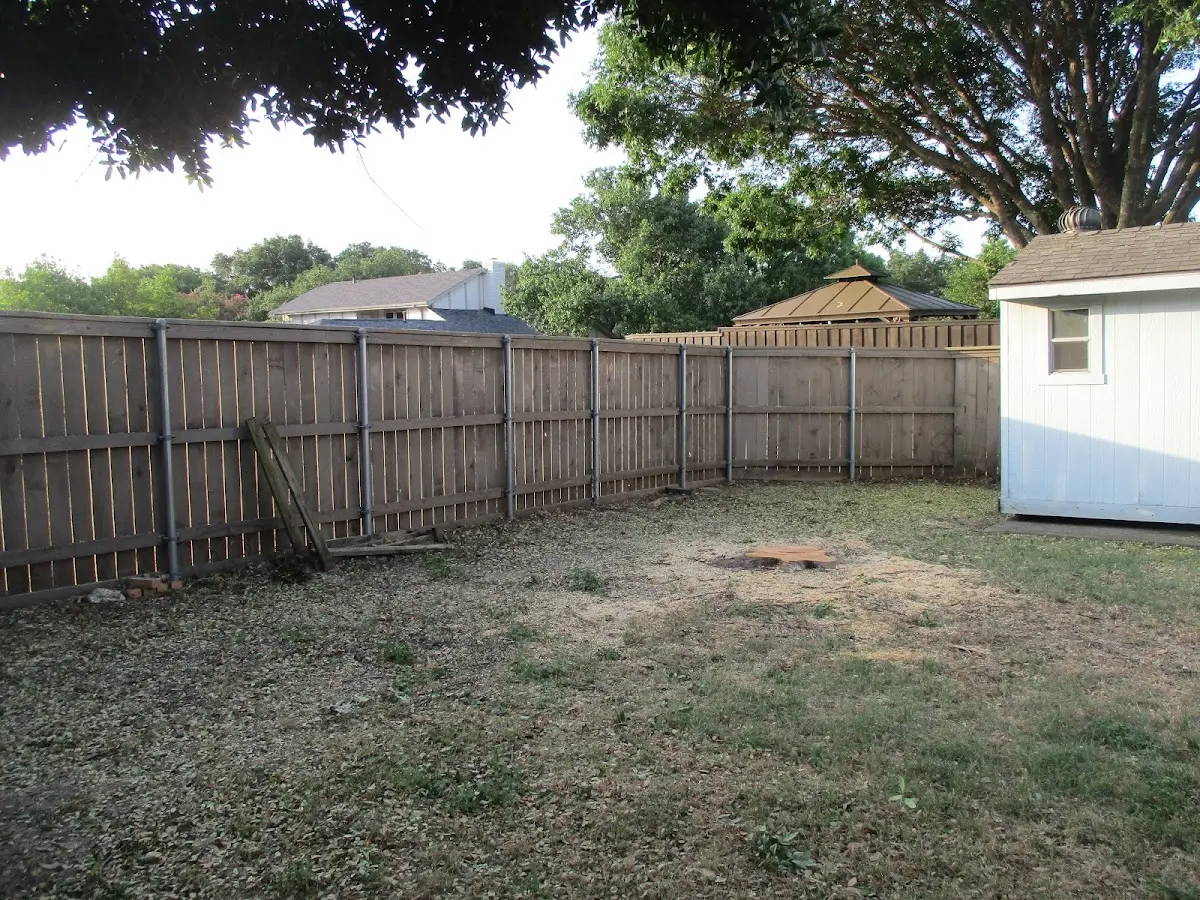 Cleared yard after professional tree removal in Lindsay